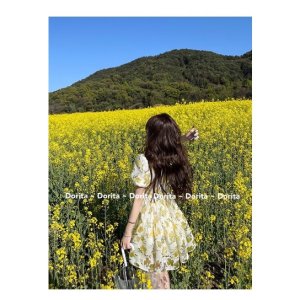 Váy hoa tơ babydoll 2 lớp, Đầm hoa nhí vintage dáng babydoll Hàn Quốc-3