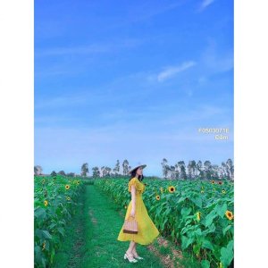 Váy Maxi Hoa bèo Xếp li trước nhiều màu-8